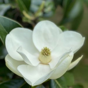 Meet your Posher, Areli